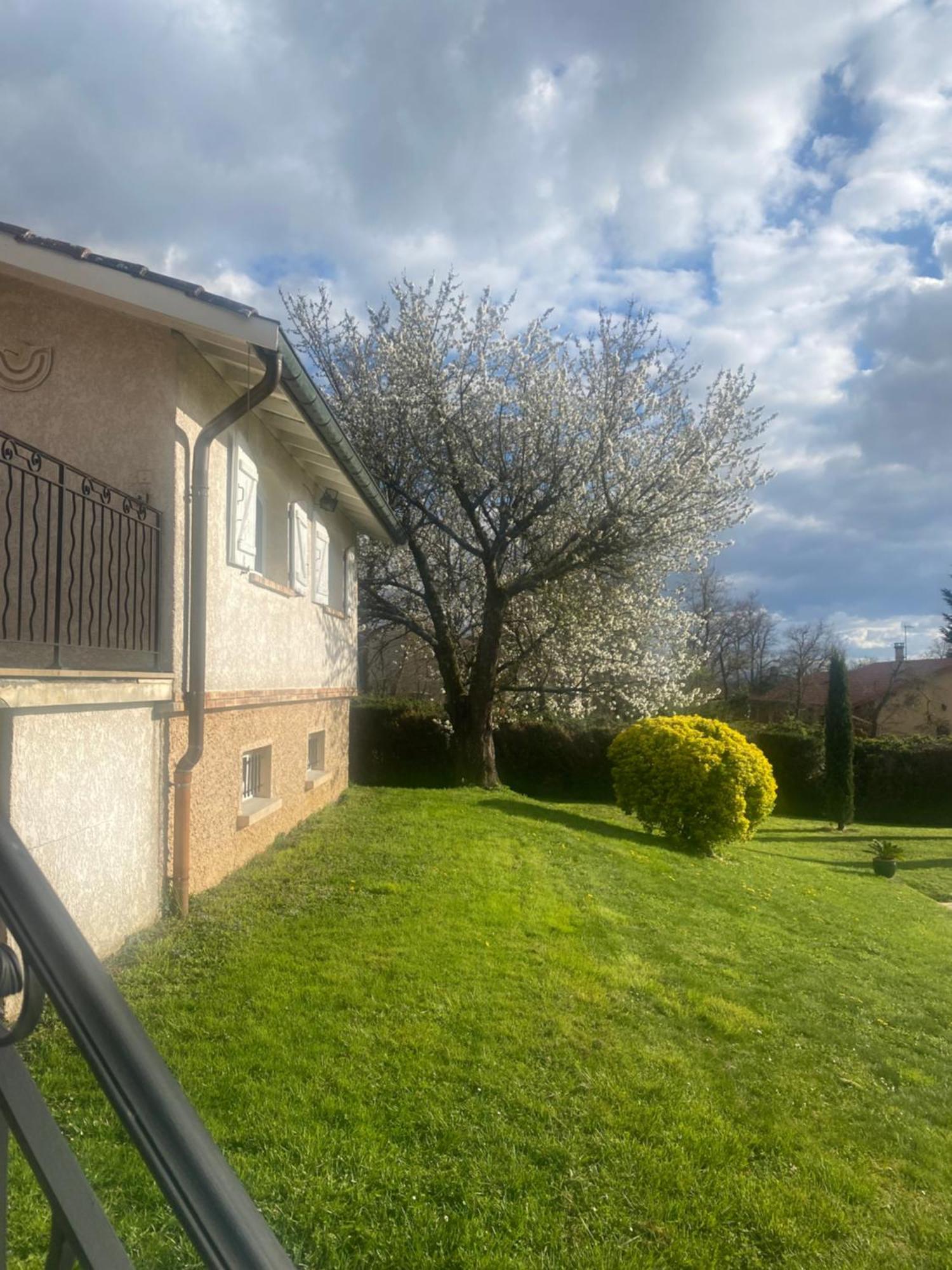 Gite Des Chabaudieres Chaneins Exterior foto